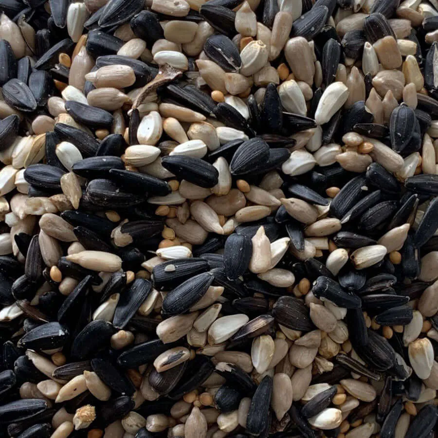 Feeder Seed - High-Energy Oil Seeds