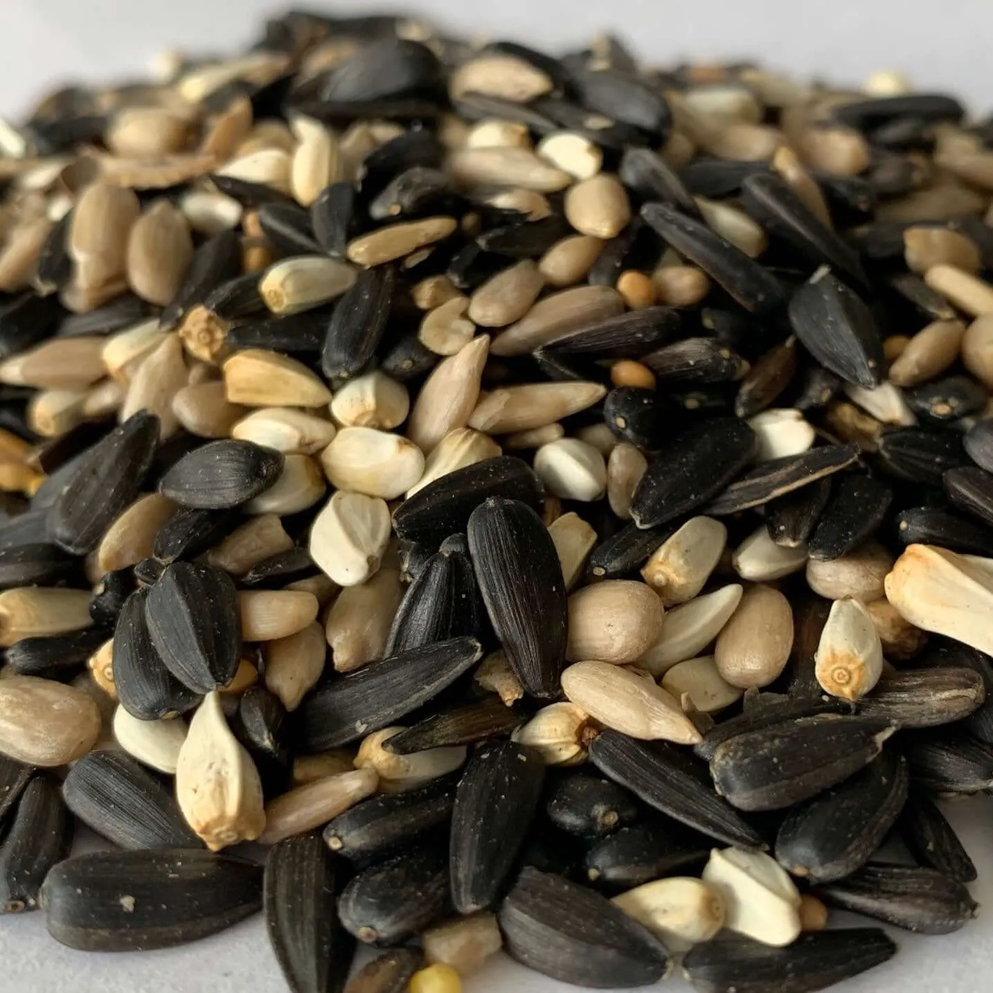 Feeder Seed - High-Energy Oil Seeds