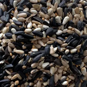 Feeder Seed - High-Energy Oil Seeds